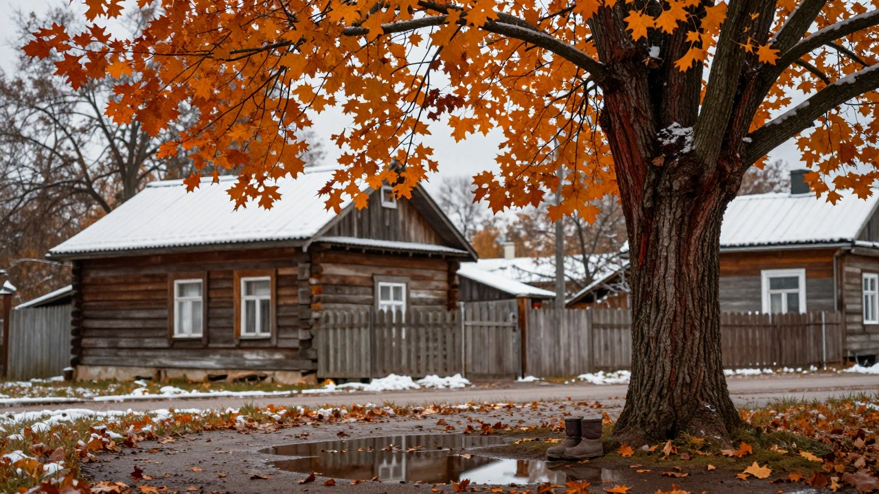 Клен с яркой осенней листвой стоит у коттеджа, за ним — снежная крыша.